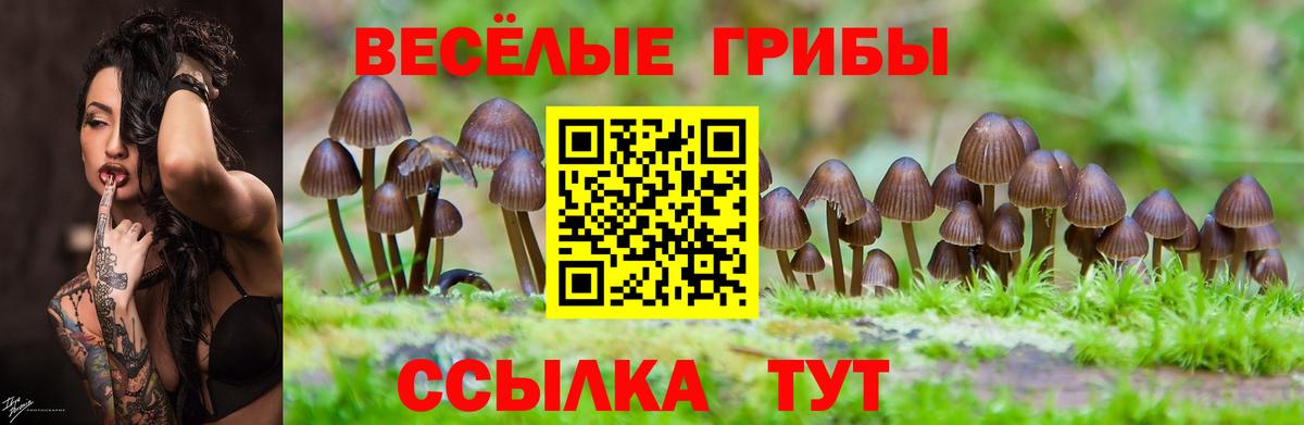 Галлюциногенные грибы прущие грибы Пермь