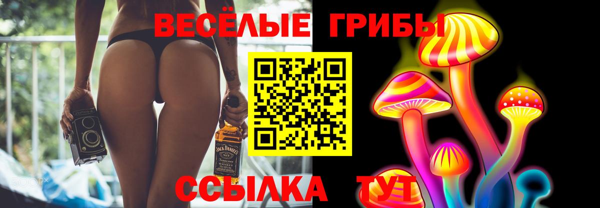 Псилоцибиновые грибы прущие грибы  Псилоцибиновые грибы прущие грибы  Пермь  Вход с VPN 